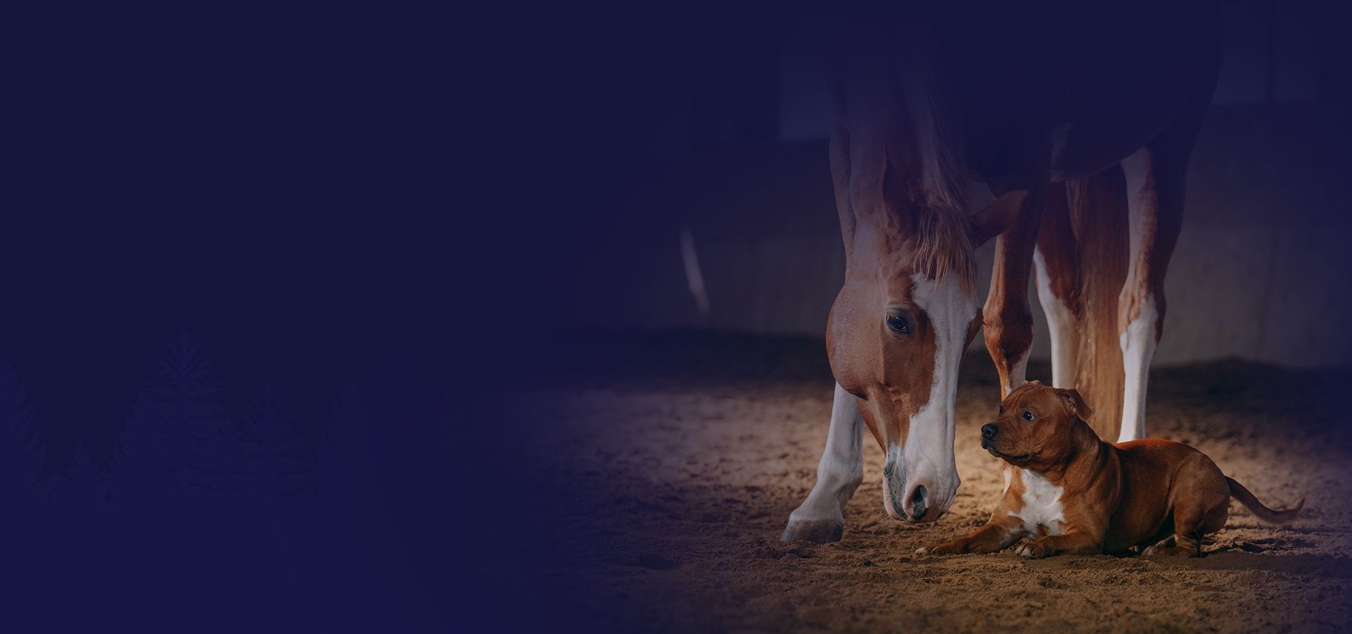 dog and a red horse in a stable